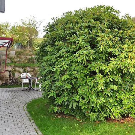 Guest house Elbassel 2*