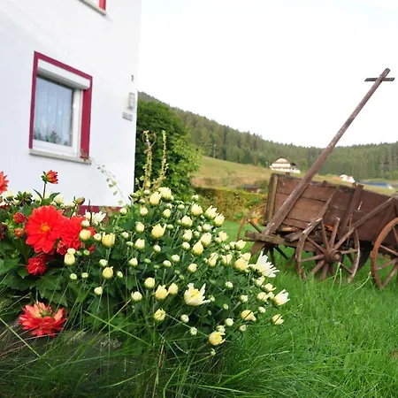 Elbassel Guest house