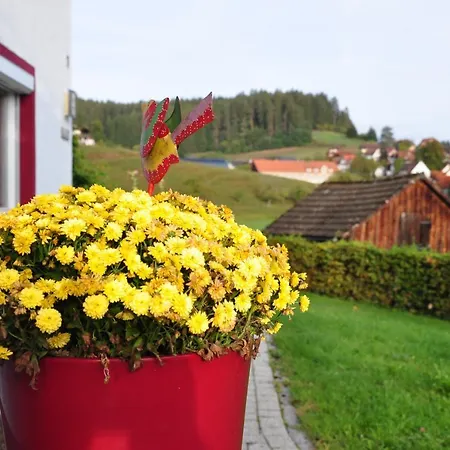 Guest house Elbassel Baiersbronn